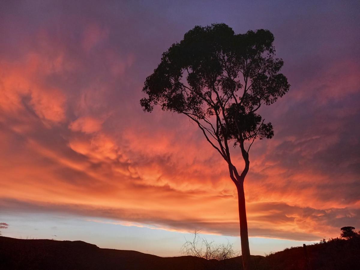 Wolverfontein Karoo Cottages ลาดิสมิธ ภายนอก รูปภาพ