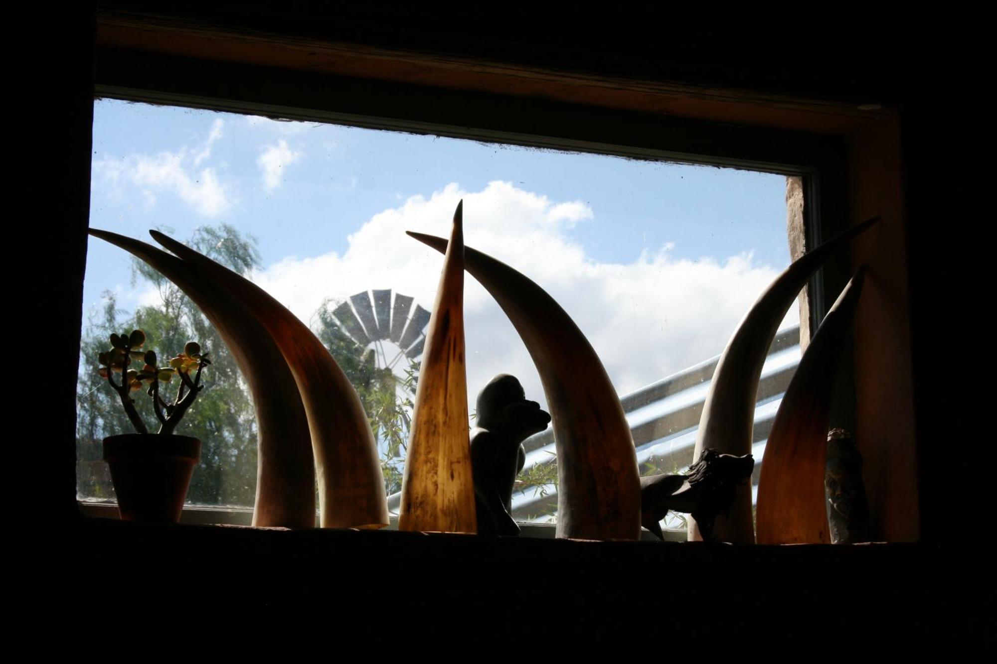 Wolverfontein Karoo Cottages ลาดิสมิธ ภายนอก รูปภาพ