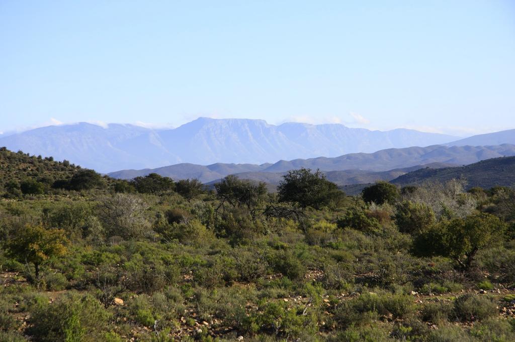 Wolverfontein Karoo Cottages ลาดิสมิธ ภายนอก รูปภาพ