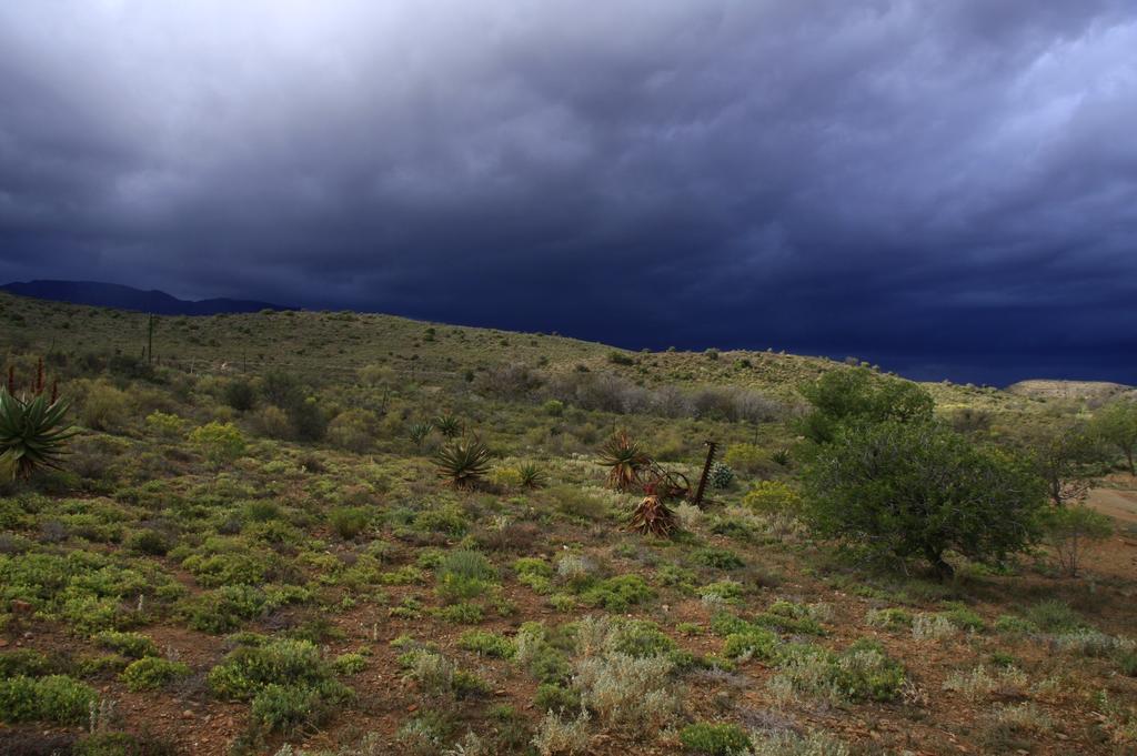 Wolverfontein Karoo Cottages ลาดิสมิธ ภายนอก รูปภาพ